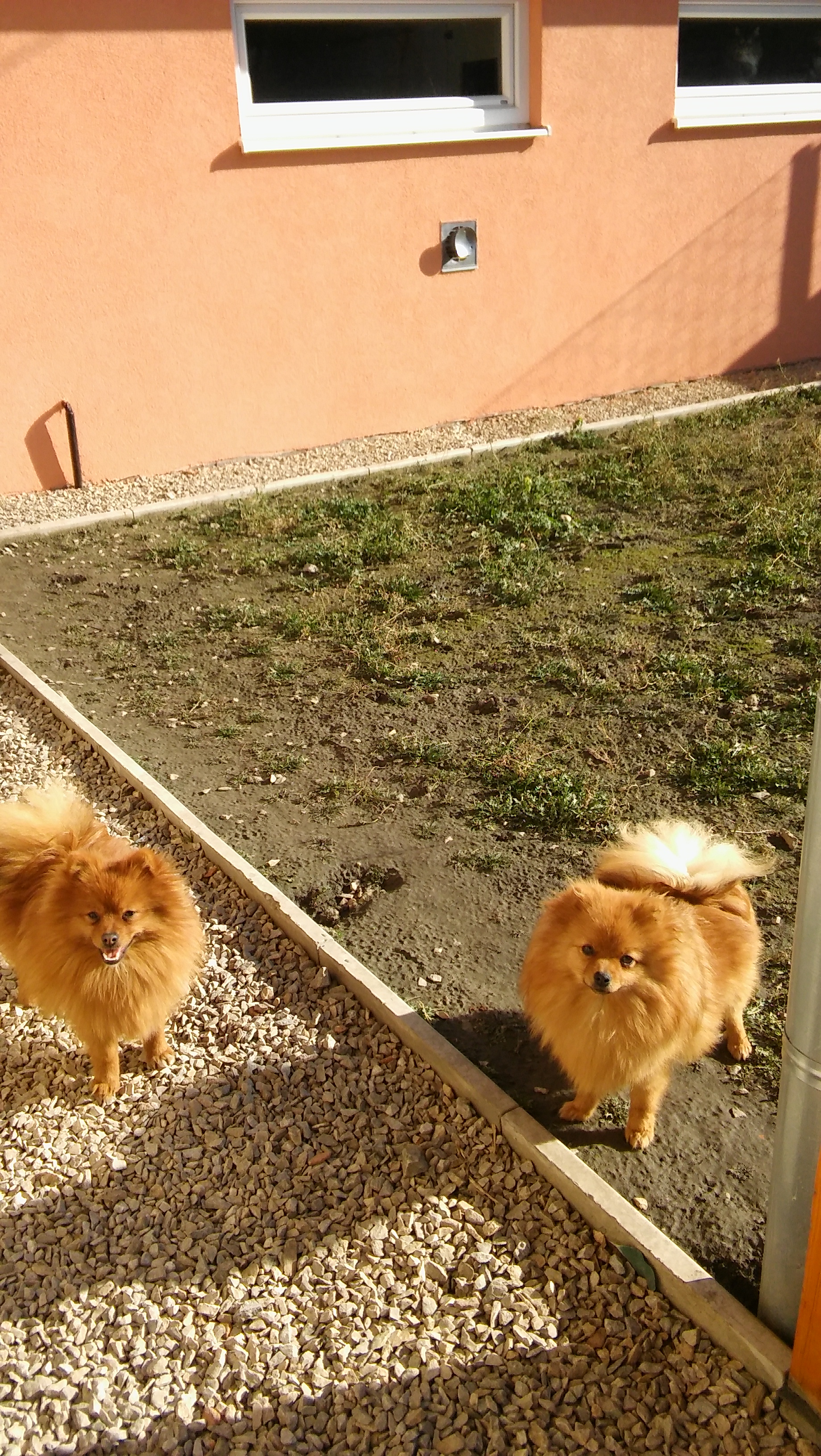 JERRY a JULY ako 10-mesační