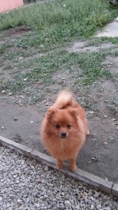 20151129_150316.jpg