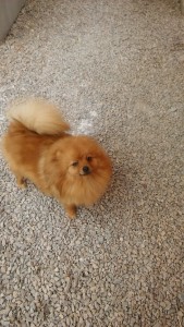 20160313_141432.jpg