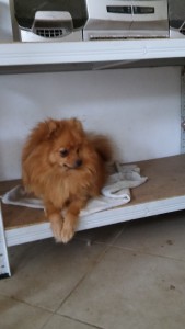 20160429_182447.jpg